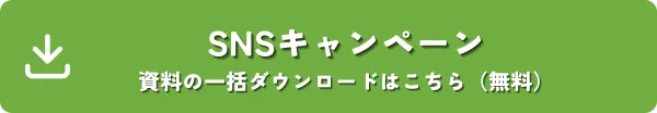 SNSキャンペーンの資料一覧