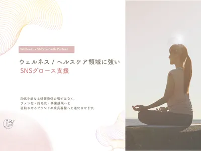 「株式会社L by T【ウェルネスヘルスケア領域向け】SNS事業資料」サムネイル画像