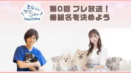 となりのワンごはん　
