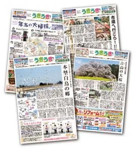 地域情報紙うきうき フリーペーパー の媒体資料 広告掲載 メディアレーダー