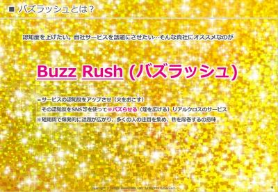 認知向上 コンテンツ作成からsns拡散 広告まで一気通貫 バズラッシュ の媒体資料 広告掲載 メディアレーダー