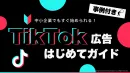 【SNS集客】TikTok広告はじめてガイド！事例付き！