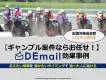 競馬・競輪・競艇・パチンコ興味層にアプローチ！ギャンブル案件ならDEmail