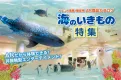 イベント集客・販促用  AR商品カタログ 海のいきもの特集