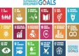 インサイト・レポート「SDGs－SDGsとは？今取り組むべき理由について－」