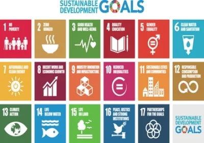 インサイト・レポート「SDGs－SDGsとは？今取り組むべき理由について－」