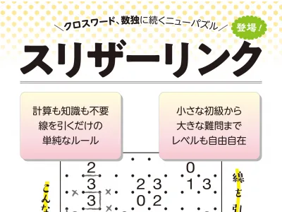 【動画で人気】数独の次に来るパズルスリザーリンク人気の秘密【SNS集客】の媒体資料