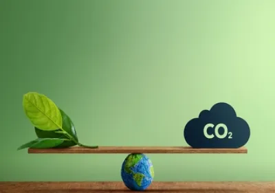 インサイト・レポート「SDGs－カーボンニュートラルの取り組みについて－」