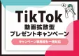 TikTokでの効果的なキャンペーンをご提案！