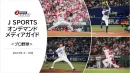 【プロ野球】デジタル広告でスポーツ観戦者へ訴求！　広島東洋カープ/中日ドラゴンズ