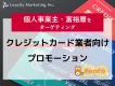 【個人事業主・富裕層をターゲティング】クレジットカード会社様向けプロモーション