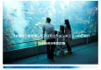水族館を利用したプロモーションメニュー媒体資料2026年9月版