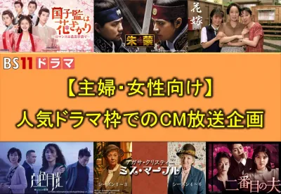 【主婦・女性向け】 日本全国に効率的な情報発信！人気ドラマ枠でのＣＭ放送企画