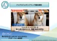 【ペットオーナー・富裕層・男性・女性】へ効率的にPR！ドッグカフェサンプリング