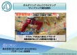 【20代・30代・40代・50代・男性】へ効率的にPR！ボルダリングサンプリング