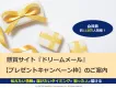 プレゼントキャンペーンの掲載なら懸賞サイト「ドリームメール」にお任せを！