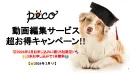 【2023年内の申込5社限定】TikTok,SNSのショート動画お得キャンペーン