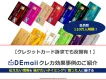 クレジットカード訴求でも反響有！WEB広告DEmail　クレカ効果事例