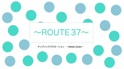 新メディア発足！今話題の”サウナ”でルートサンプリング【〜ROUTE37〜】の媒体資料