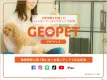 動物病院に通うペットの飼い主へSNSで位置情報を使った広告配信！【GEOPET】