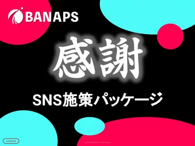 【丁寧に解説します！】SNSを活用したプロモーションパッケージ資料