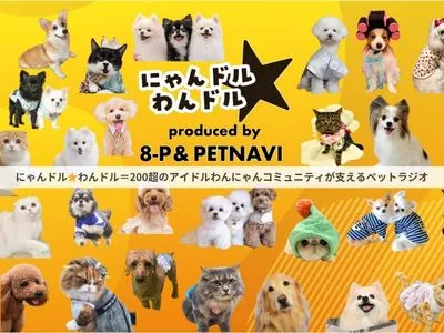 【ペットラジオTV番組出演】40代以降の女性にアクティブ富裕層リーチの媒体資料