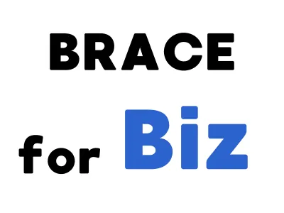 【BtoB】Brace forBiz：ビジネスデータを使ったDSP広告配信媒体