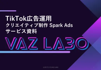 【SparkAds】TikTok広告運用サービス/キャスティング