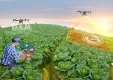 インサイト・レポート「スマート農業～国内市場の現状と将来展望～」