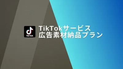【インフルエンサー起用】TikTok広告用素材納品プランをご紹介！30万円〜の媒体資料