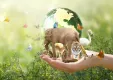 インサイト「生物多様性～ネイチャーポジティブの実現とネイチャーテックの台頭～」