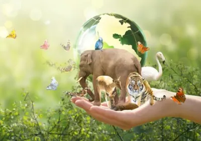 インサイト「生物多様性～ネイチャーポジティブの実現とネイチャーテックの台頭～」