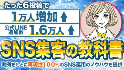 Instagram運用代行　スポットコンサル1時間の媒体資料
