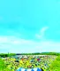 関西最大級の野外イベントを通じて情報発信、ブランディングにお役立ていただけます。