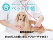 【動物病院】と【ペット飼い主】の双方に直アプローチ！動物病院が起点だから効果的