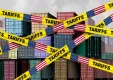 インサイト・レポート「トランプ2.0が日本企業に与える影響」