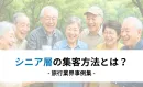 【旅行業界向け】デジタルでのシニア獲得_三越伊勢丹ニッコウトラベル様事例
