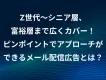 Z世代～シニア層、富裕層までカバー！ 無駄打ちをしないメルマガ/メール広告とは？