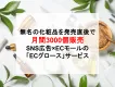 SNS×ECモールでD2Cの販売を爆発的加速させる「ECブースト」