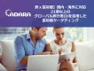 【高付加価値旅行者ならADARA】国内・海外あわせて約21億IDの購買データ