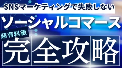 SNSマーケティングで失敗しない!!ソーシャルコマース完全攻略