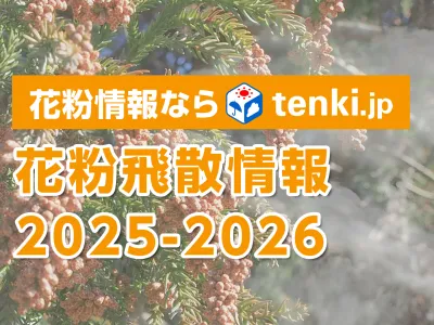 花粉症対策商材のPRに！天気予報専門メディア「tenki.jp」の花粉飛散情報