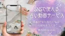 SNSで使える占い動画サービス