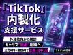 【低コストでTikTok内製化】SNS運用AIを活用した自社運用支援｜ウチドリ