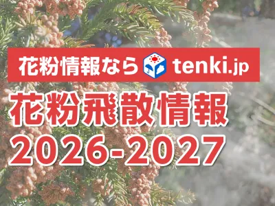 花粉症対策商材のPRに！天気予報専門メディア「tenki.jp」の花粉飛散情報