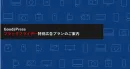 GoodsPress_ブラックフライデー_企画書
