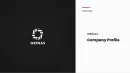 Orinas: Marketing Strategy to Execution