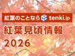 【紅葉時期の商品訴求に！】天気予報専門メディア「tenki.jp」の紅葉見頃情報