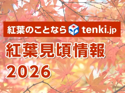 【紅葉時期の商品訴求に！】天気予報専門メディア「tenki.jp」の紅葉見頃情報