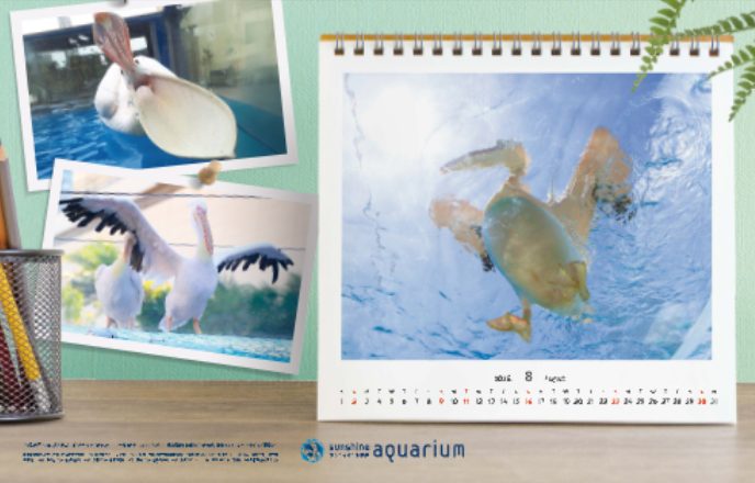 サンシャイン水族館のまど上広告 カレンダー風デザインで水辺の生き物を紹介する車内広告